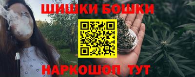молекула духа Будённовск