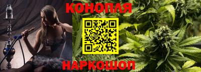 молекула духа Будённовск