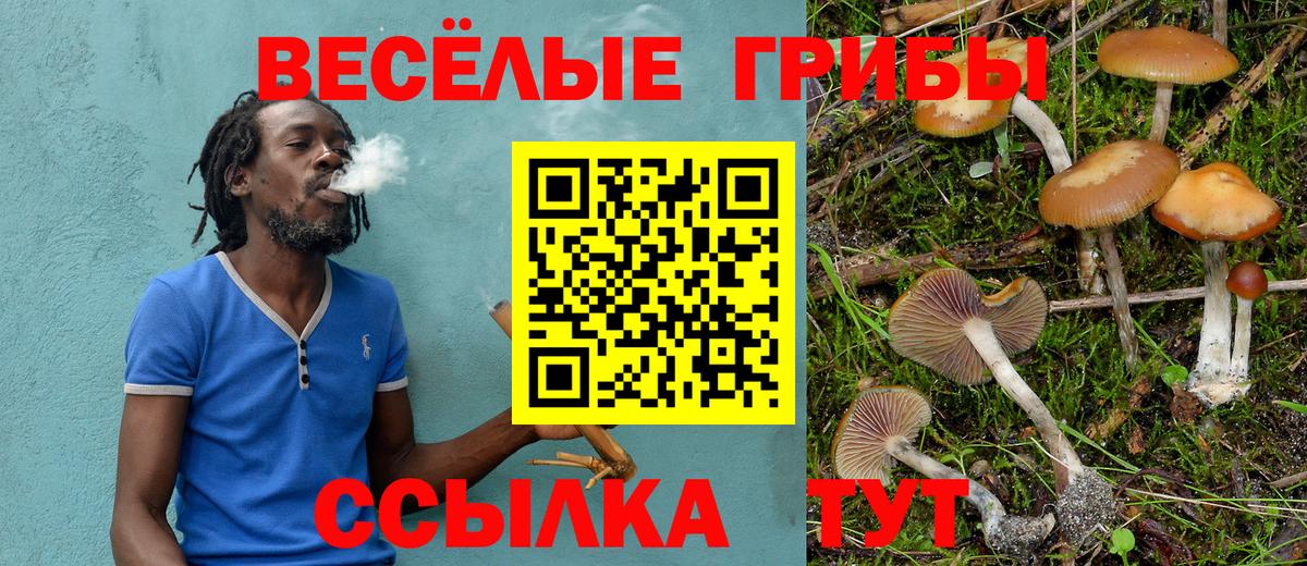 где купить наркоту  Псилоцибиновые грибы мицелий  Псков  Вход с VPN  Галлюциногенные грибы Psilocybe 