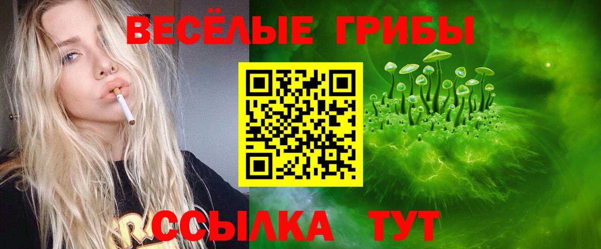 Псилоцибиновые грибы Psilocybine cubensis Псков